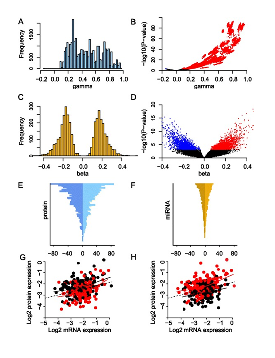 Figure 7. Effect of mRNA and miRNA on protein expression. (A) The effect of mRNA on protein for all significant mRNA coefficients (‘gamma’). (B) Volcano plot showing all estimated mRNA coefficients (‘gamma’) plotted against corresponding P-values. Significant and negative associations are shown in blue and significant and positive associations are shown in red. (C) The effect of miRNA on protein for all significant miRNA coefficients (‘beta’). (D) Volcano plot showing all estimated miRNA coefficients (‘beta’) plotted against corresponding P-values. Coloring as in (B). (E) Number of miRNAs per protein. The horizontal axis represents the negative and positive number of associations with miRNAs, and the vertical axis represents the 105 proteins in descending order. (F) Number of proteins per miRNA. The horizontal axis represents the negative and positive number of associations with proteins, and the vertical axis represents the 421 miRNAs in descending order. (G) Example of a negative association between miRNA expression and protein expression. The horizontal axis represents BRAF mRNA expression and the vertical axis B-Raf protein expression (both on log2-scale). Each point represents a patient, and the color indicates whether the expression of miR-638 is above the median (red) or below the median (black). Solid lines represent smoothing splines fitted to the data. The dotted line represents a linear regression fit to the data. For any fixed level of mRNA expression, high expression of miR-638 is associated with decreased protein expression of B-Raf. (H) Example of a positive association between miRNA expression and protein expression. The horizontal and vertical axes are the same as in (G), but here each patient point is color-coded according to miR-107 expression (red, miR-107 expression above median; black, miR-107 expression below median). For any fixed level of mRNA expression, high expression of miR-107 is associated with increased B-Raf protein expression.